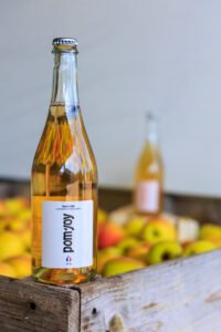 Hard Cider pom'joy