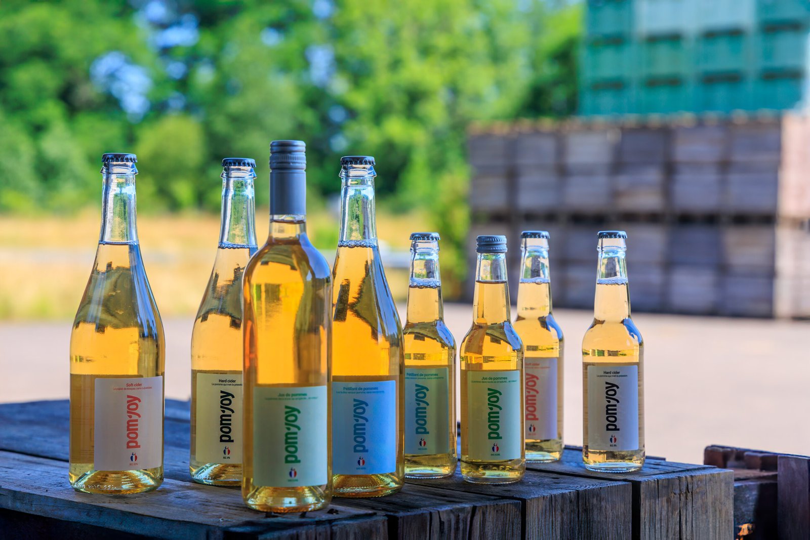 Cidre et alcool : quel degré selon le type de cidre ?